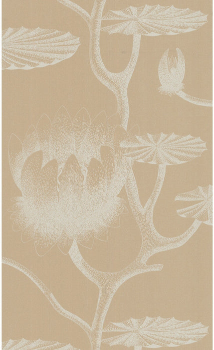 Cole & Son Lily Ivory/Sand Wallpaper Sample 69/3113.CS.0