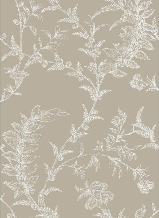 Cole & Son Ludlow Taupe Wallpaper Sample 88/1001.CS.0