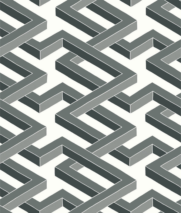 Cole & Son Luxor Black And White Wallpaper Sample 105/1002.CS.0