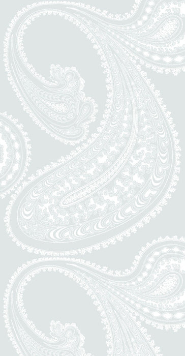 Cole & Son Rajapur Wht/Lt Blue Wallpaper Sample 95/2013.CS.0