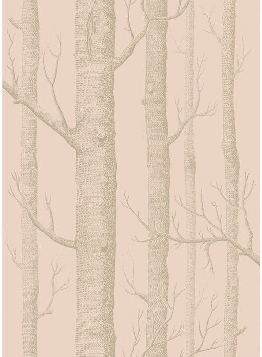 Cole & Son Woods Pink/Gilver Wallpaper Sample 103/5024.CS.0