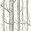 Cole & Son Woods & Stars Black &White Wallpaper Sample 103/11050.CS.0