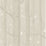 Cole & Son Woods & Stars Grey Wallpaper Sample 103/11048.CS.0