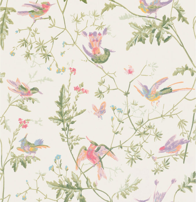 Cole & Son Hummingbirds Soft Multi-Colour Wallpaper Sample 100/14067.CS.0