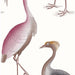 Gaston Y Daniela Garzas Blanco Wallpaper Sample GDW5773.007.0