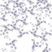 Kravet Couture Falling Ginkgo Spring Wallpaper Sample W3578.10.0