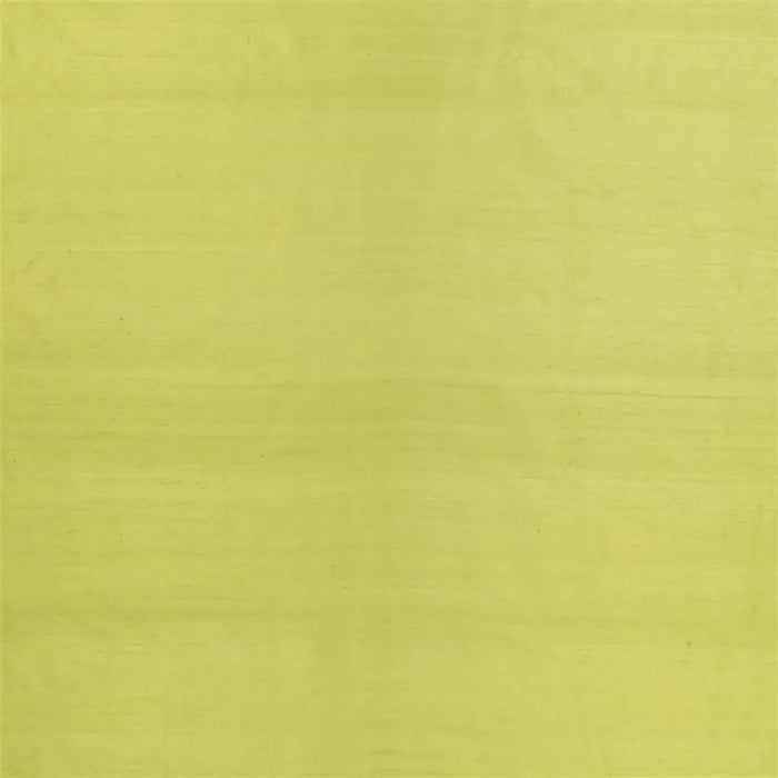 Designers Guild Chinon 20 Sample Sample F1165-20