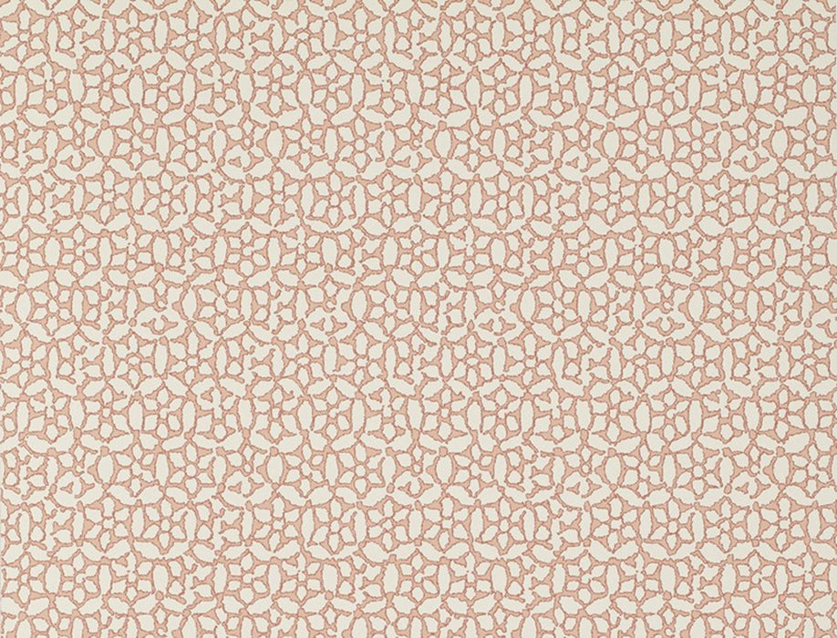 No.9 Thompson Chinese Daisy  Salmon Wallpaper Sample N9021004002