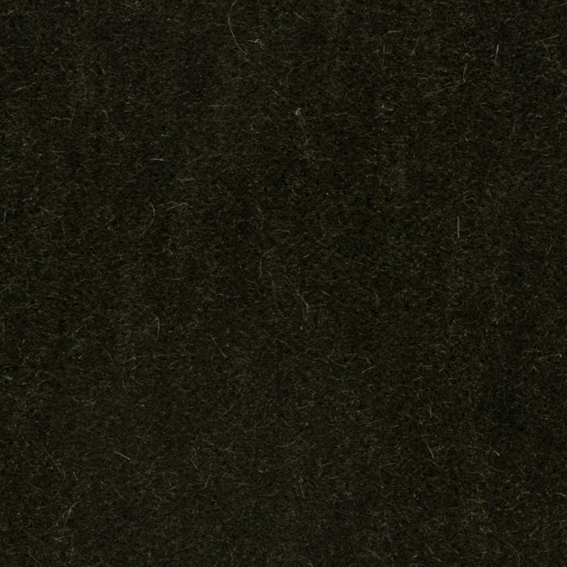 Brunschwig & Fils Bachelor Mohair Thyme Fabric Sample 8014101.30.0