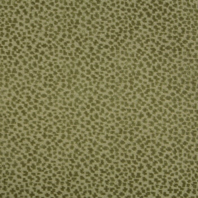 Brunschwig & Fils La Panthere Velvet Moss Fabric Sample 8017126.3.0