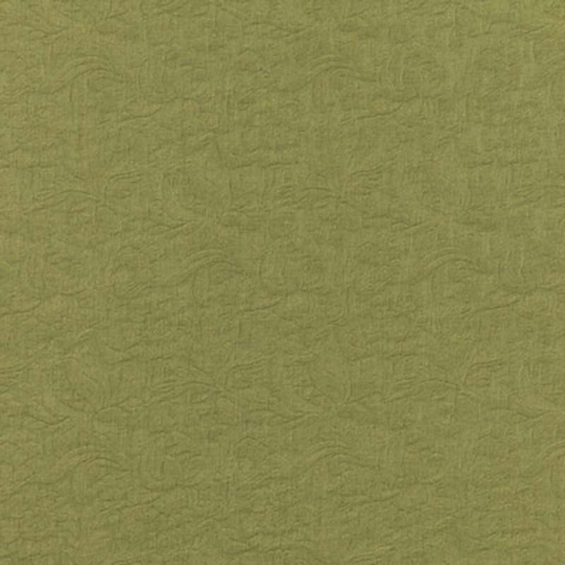 Brunschwig & Fils Gambetta Weave Verd Fabric Sample 8019120.3.0