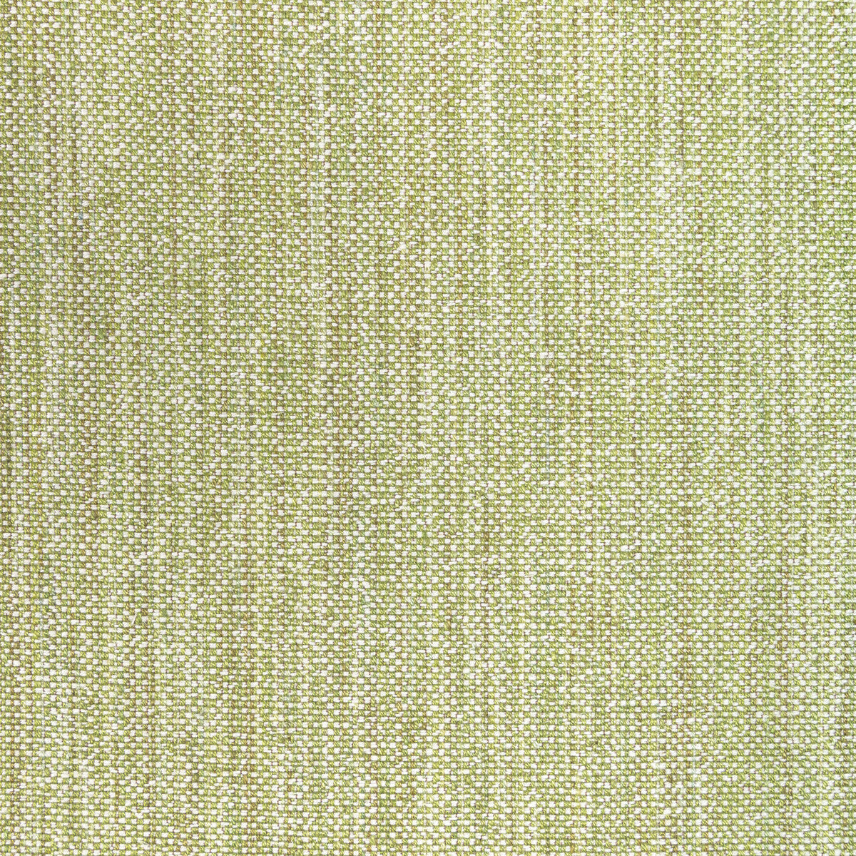Brunschwig & Fils Rospico Plain Leaf Fabric Sample 8022110.3.0