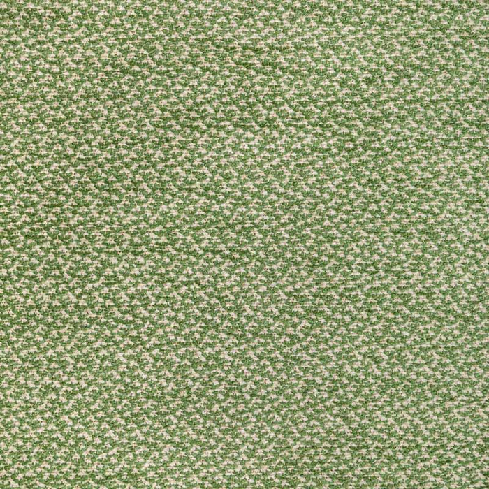 Brunschwig & Fils Sasson Texture Green Fabric Sample 8022122.3.0