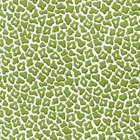 Brunschwig & Fils Guepard Print Leaf Fabric 8024125.3.0