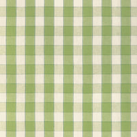 Brunschwig & Fils Clemens Check Green Fabric 8024138.3.0