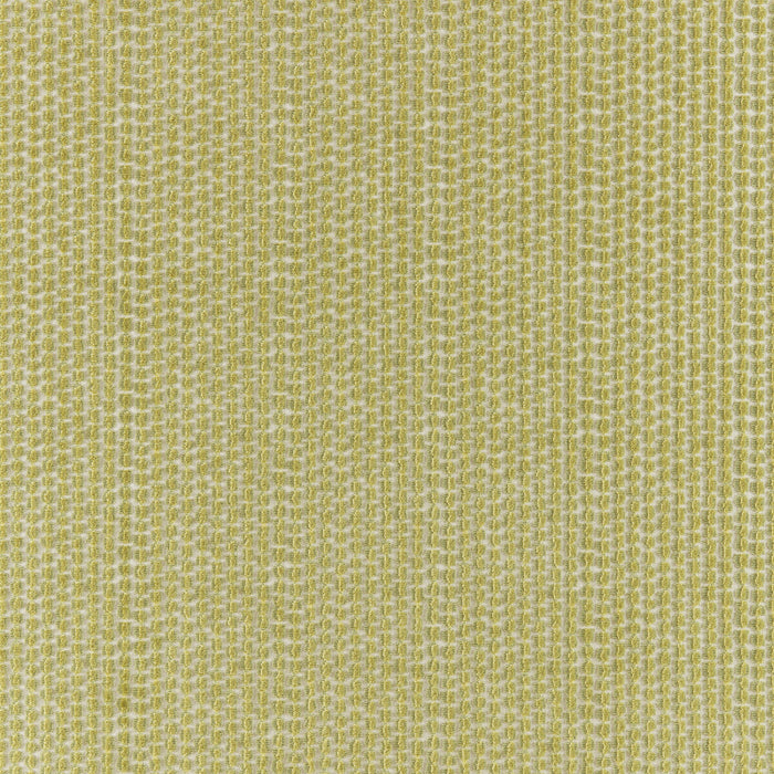 Brunschwig & Fils Templon Velvet Peridot Fabric 8025103.3.0