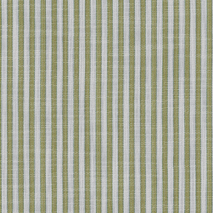 Brunschwig & Fils Vesonne Stripe Leaf Fabric 8026122.3.0