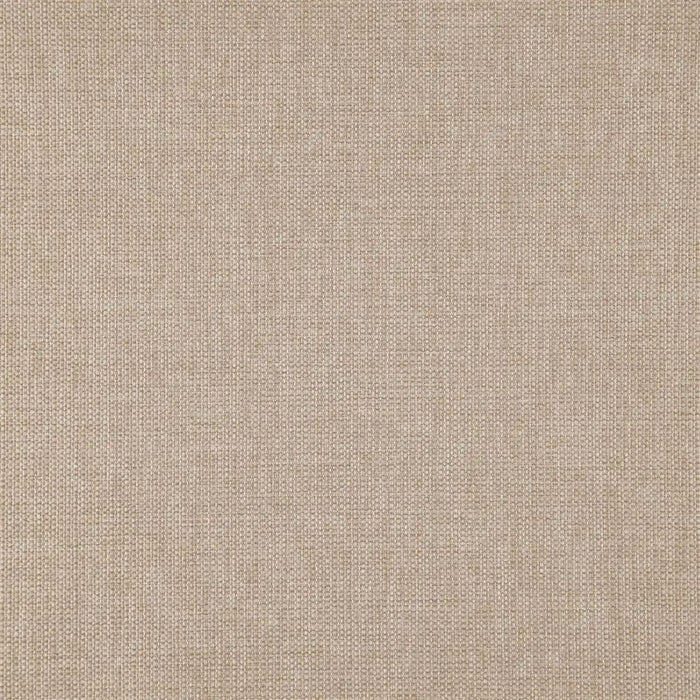 Designers Guild Radworth 1 Sample Sample FDG2744-01