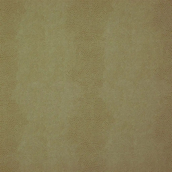 Designers Guild Dacre 2 Sample Sample FDG2728-02