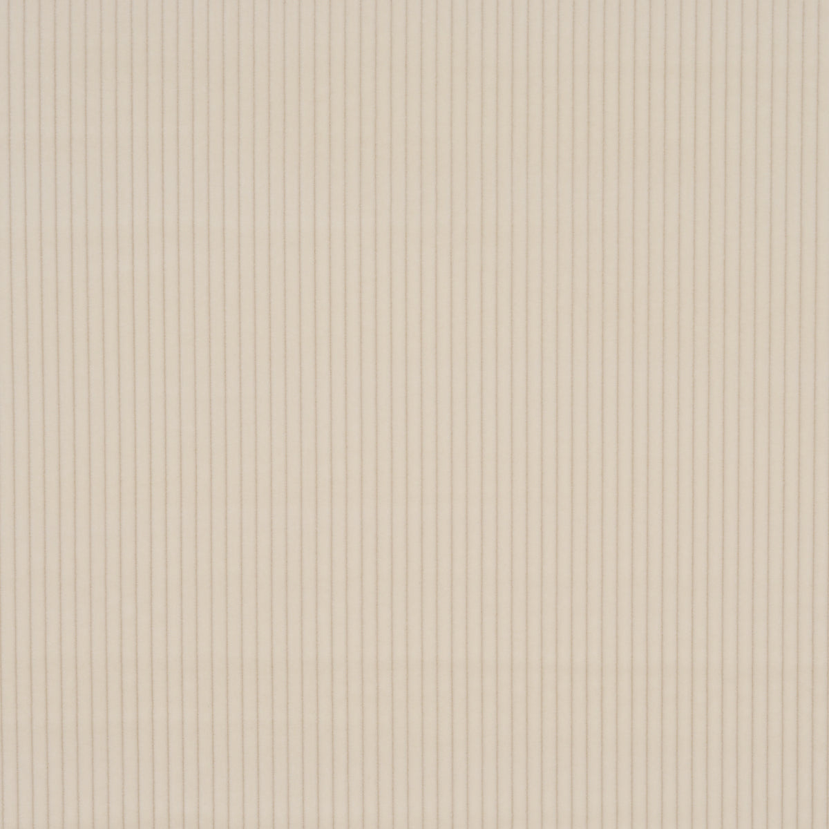 Schumacher Wyatt Corduroy Buff Fabric Sample 80455