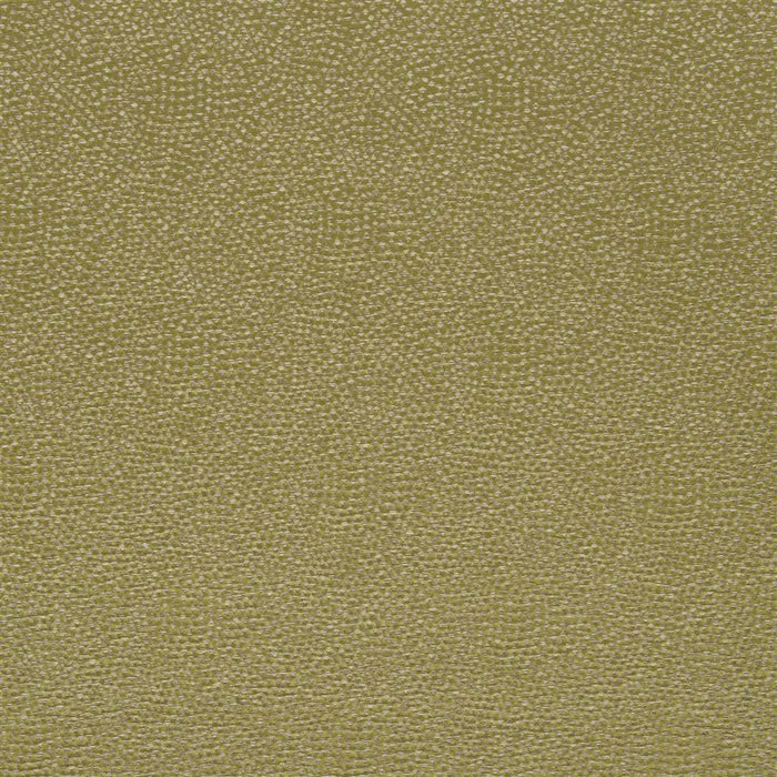 Designers Guild Sesia Moss Fabric FDG2747-10