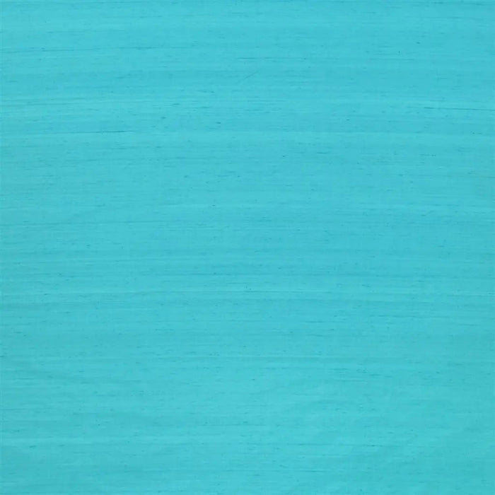 Designers Guild Chinon 82 Sample Sample F1165-82