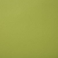 Pindler Poolside Sprout Fabric 8073