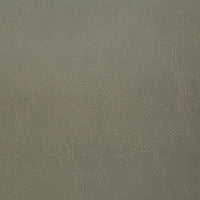 Pindler Gitty Up Aloe Fabric GIT002-GR01