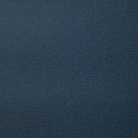 Pindler Lasso Ink Fabric LAS011-BL09