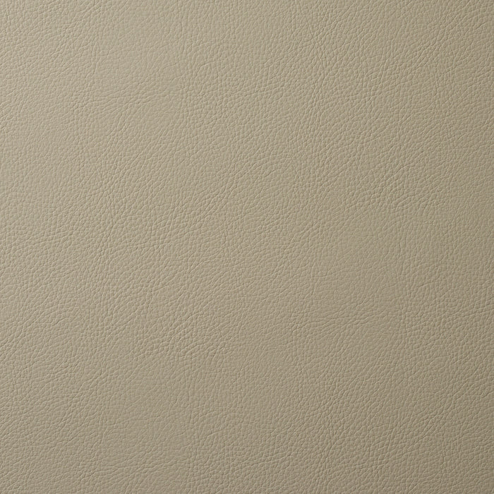 Schumacher Vegan Leather Indoor/Outdoor Pewter Fabric 80904