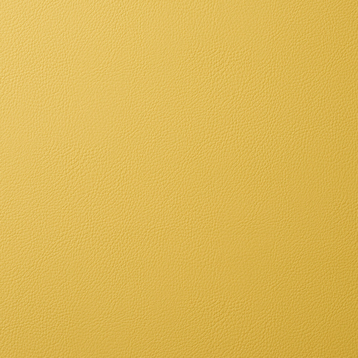 Schumacher Vegan Leather Indoor/Outdoor Dijon Fabric Sample 80906