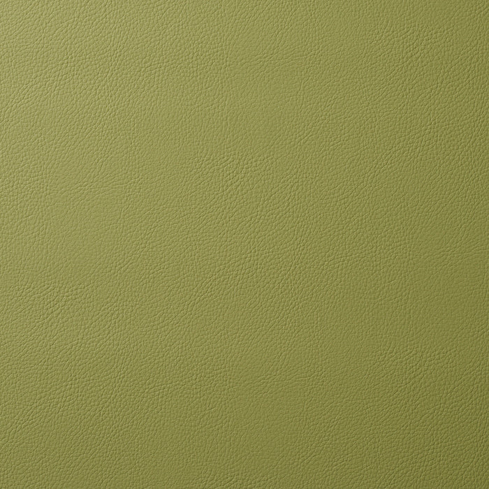 Schumacher Vegan Leather Indoor/Outdoor Moss Fabric 80907