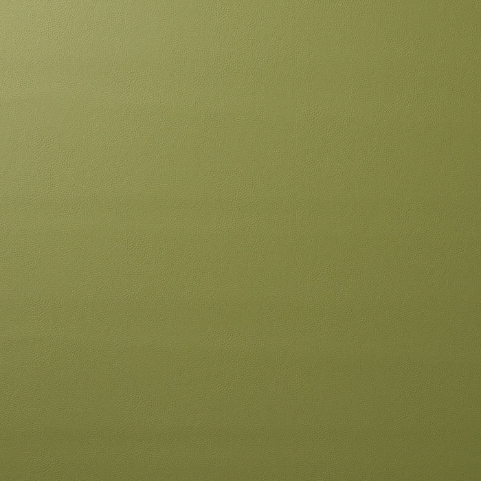 Schumacher Vegan Leather Indoor/Outdoor Moss Fabric Sample 80907