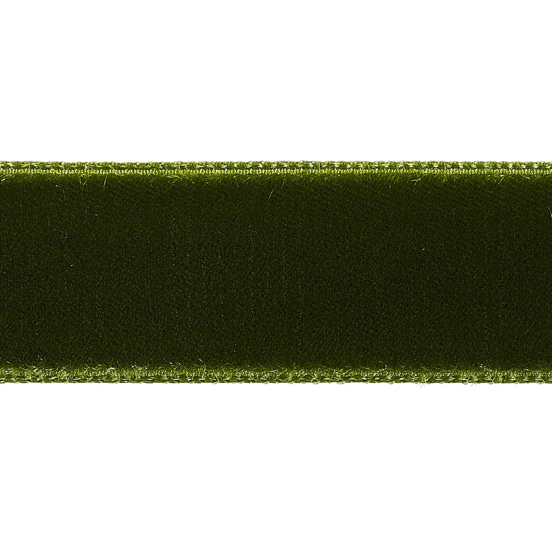 Schumacher Velvet Tape Medium Moss Trim Sample 80945