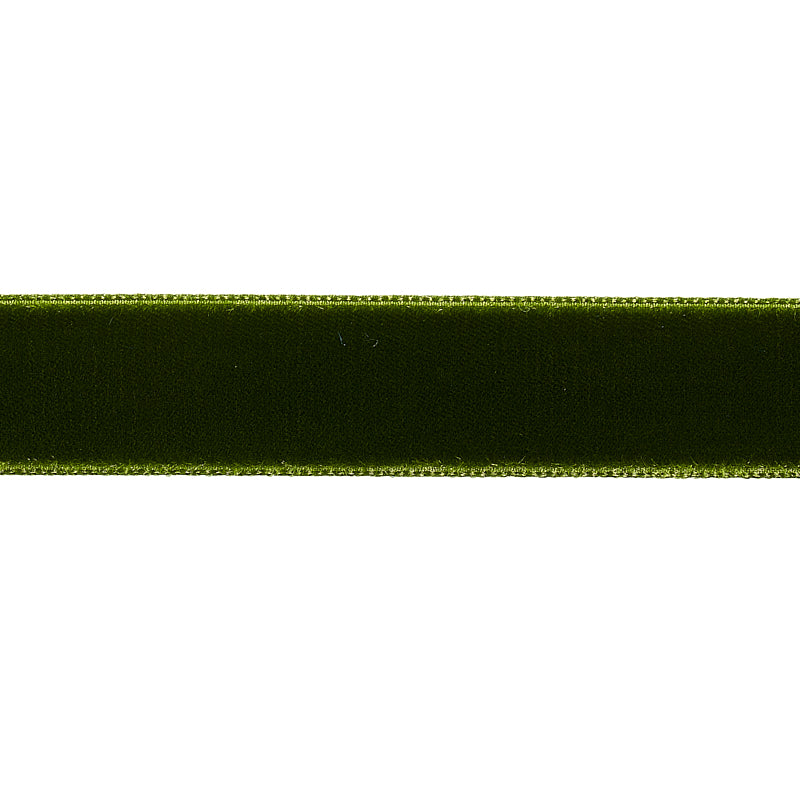 Schumacher Velvet Tape Medium Moss Trim Sample 80945