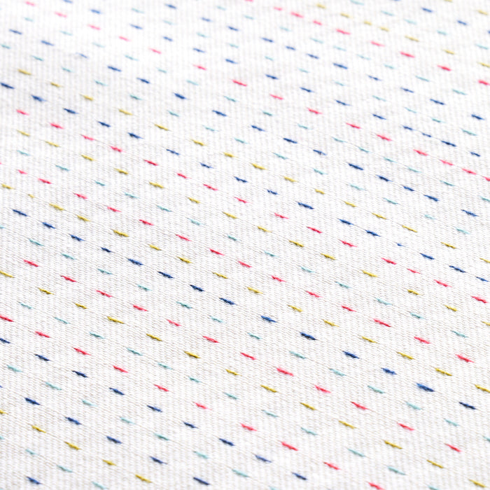 Schumacher Grayson Indoor/Outdoor Multi Fabric Sample 81080