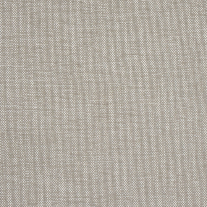 Schumacher Dean Indoor/Outdoor Driftwood Fabric Sample 81123