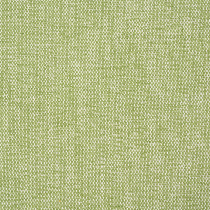 Schumacher Dean Indoor/Outdoor Grass Fabric 81129