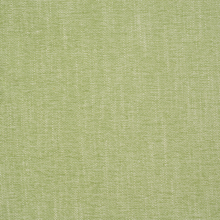 Schumacher Dean Indoor/Outdoor Grass Fabric Sample 81129
