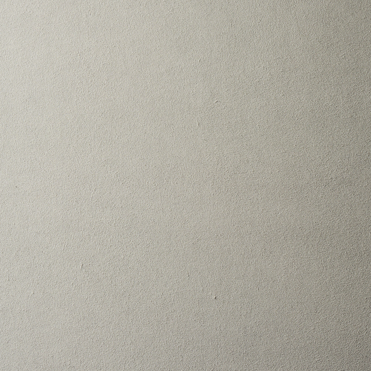 Schumacher Vegan Suede Dove Fabric Sample 81133