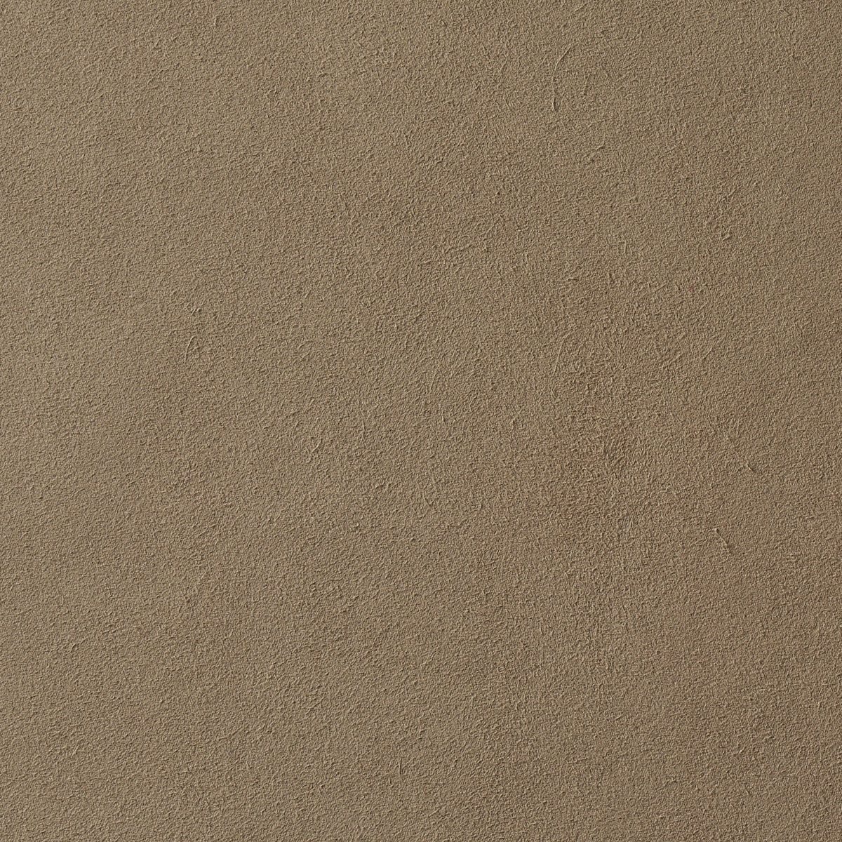 Schumacher Vegan Suede Fawn Fabric Sample 81137
