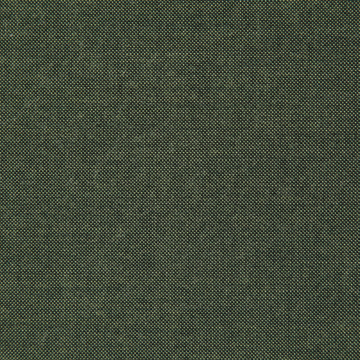 Pindler Cliffridge Lichen Fabric CLI026-GR09