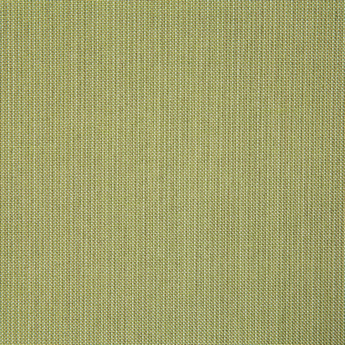 Pindler Rockwell Citrus Fabric ROC041-GR05