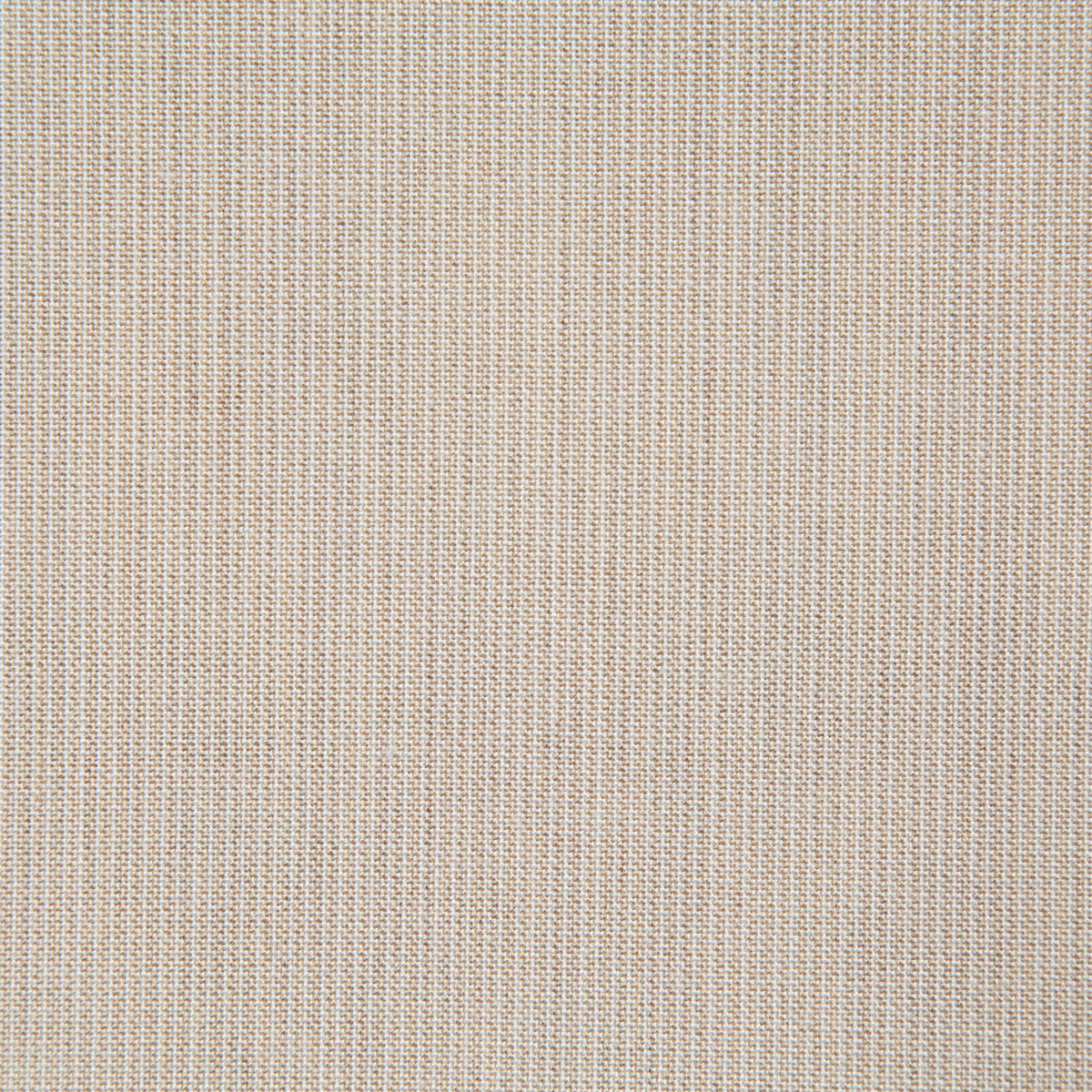 Pindler Rockwell Shell Fabric ROC041-WH01