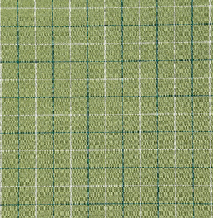 Pindler Zuma Sprout Fabric 8178