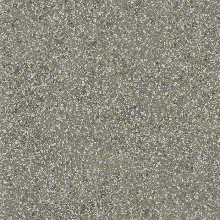 Designers Guild Pavonazzo Birch Wallpaper Sample PDG1031-02
