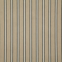 Pindler Mayer Noir Fabric MAY045-BK01