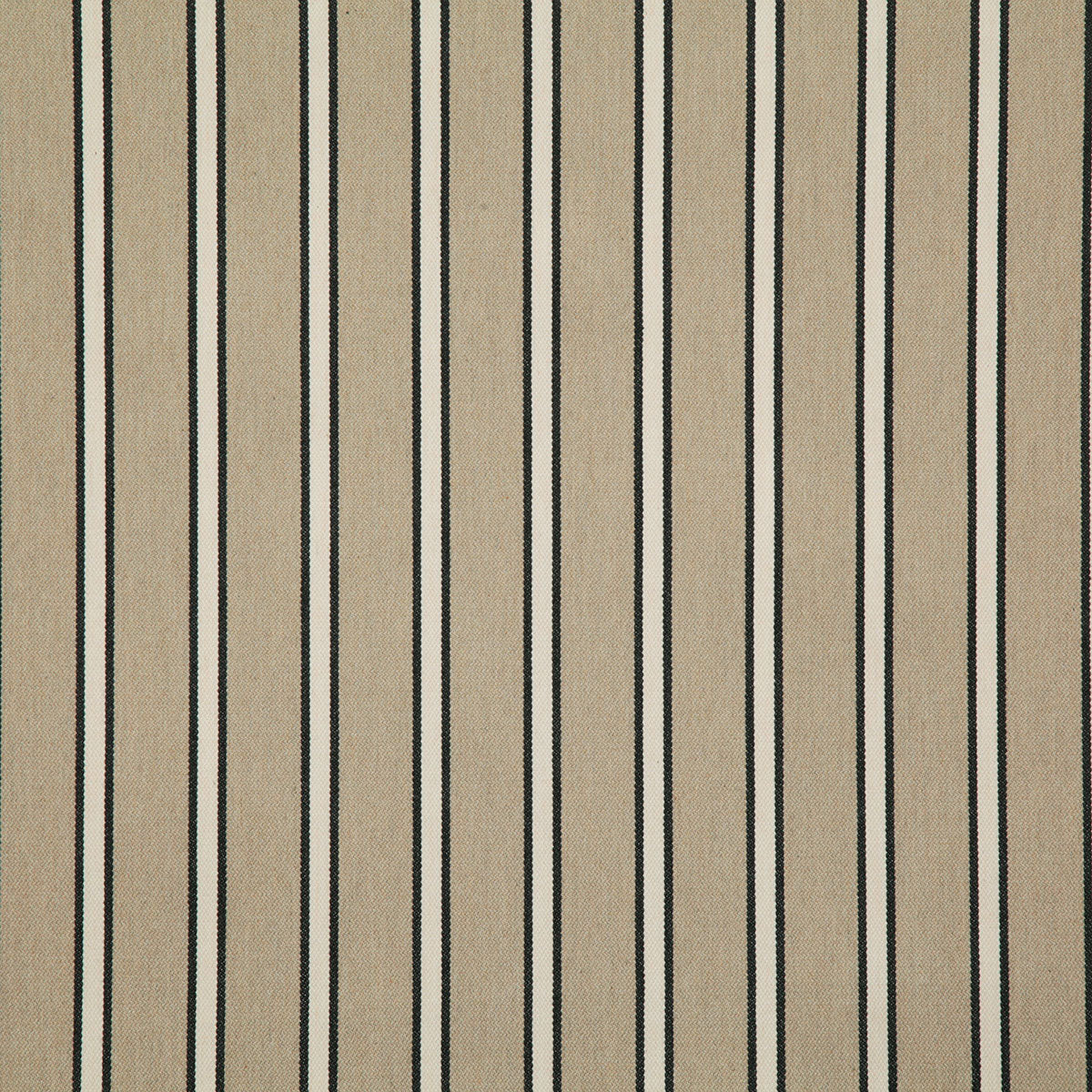 Pindler Mayer Noir Fabric MAY045-BK01