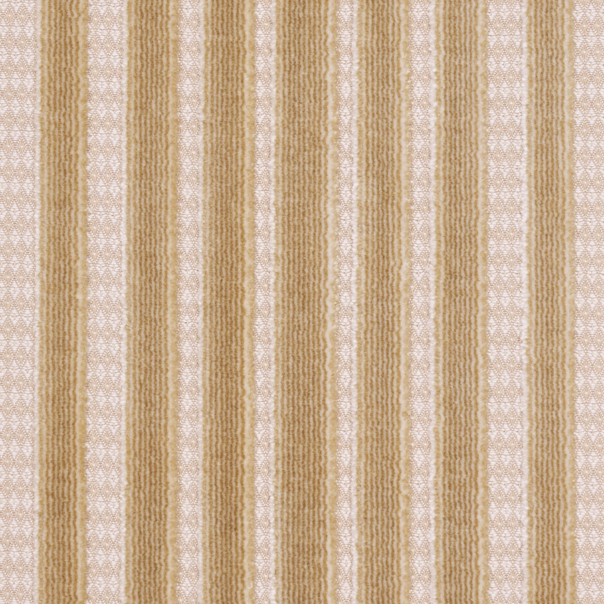 Schumacher Chimay Stripe Velvet Champagne Fabric Sample 82153