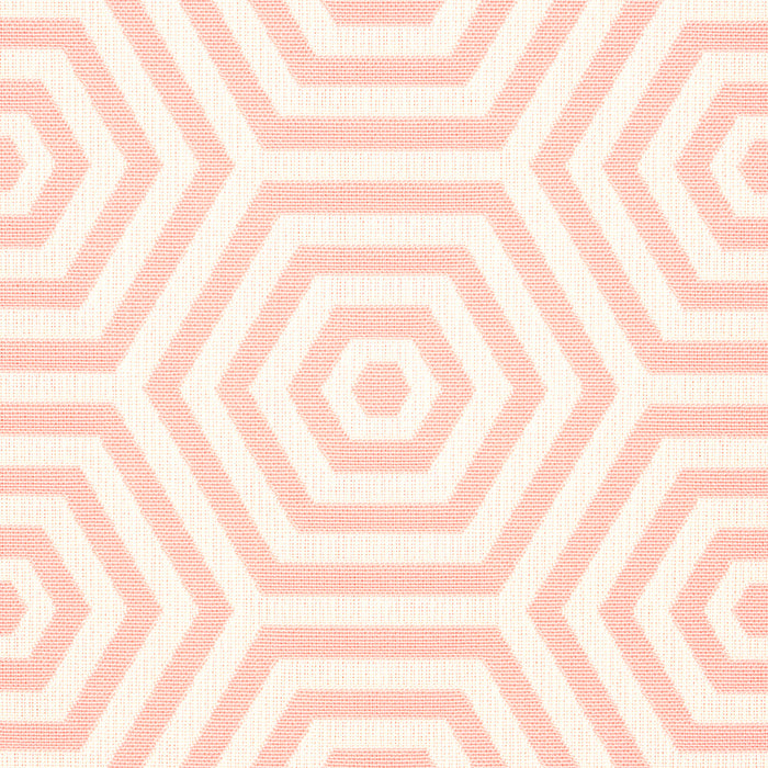 Schumacher Bees Knees Indoor/Outdoor Petal Fabric 82312